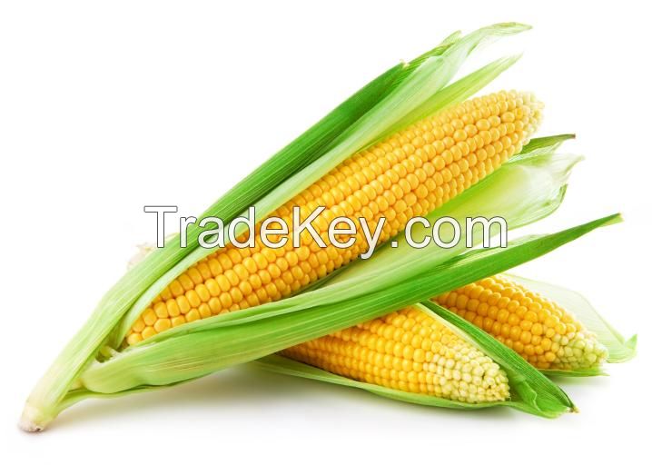 Sunflower Oil , Sunflower seed, Soybeans , Yellow Corn, Corn Oil , NPK fertilizer , 