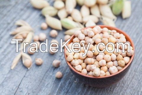 SUPPLIER CHICKPEAS