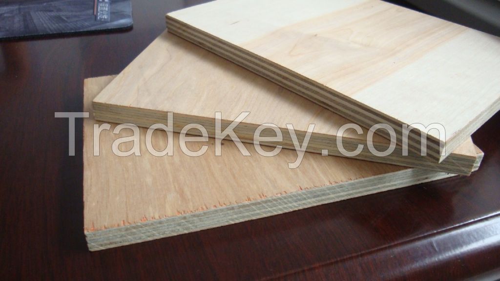 construction 15.5mm all kinds plywood