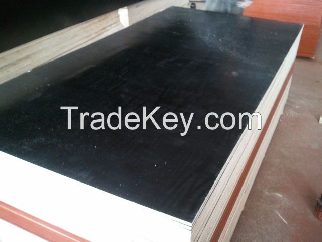 construction 19mm all kinds film faced plywood