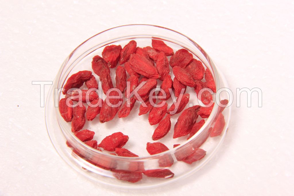 organic goji berry  Lycium barbarum Dried Fructus Lycii