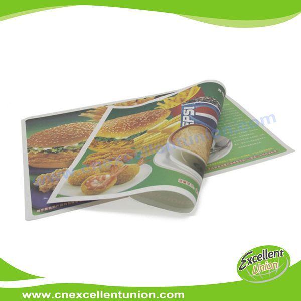 EX-PL-001 Custom Logo printed disposable paper tray liner