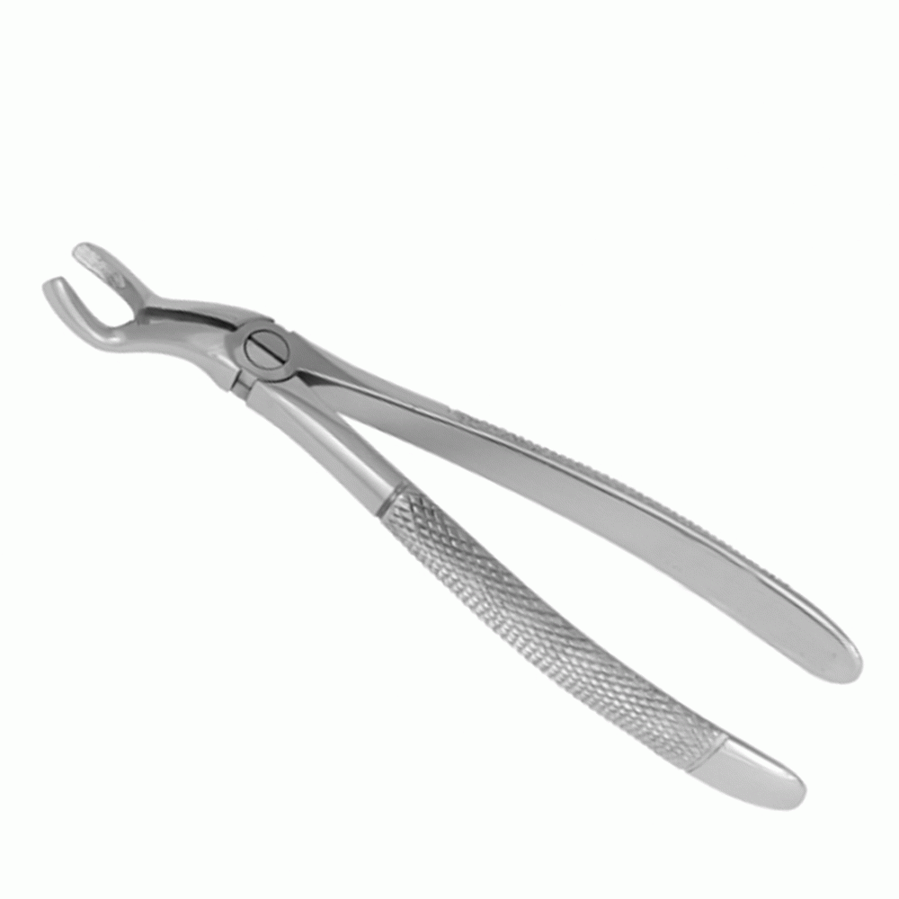 Sell Dental Extracting Forceps English Pattern Dental instruments