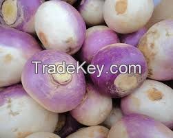 fresh turnip