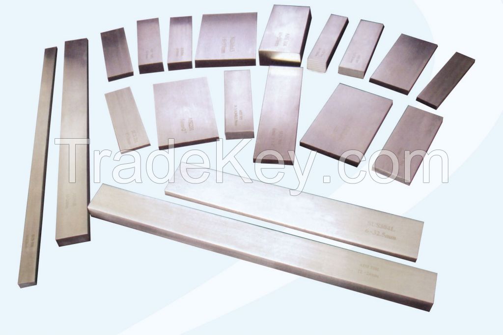 Stainless Steel 304L Flat