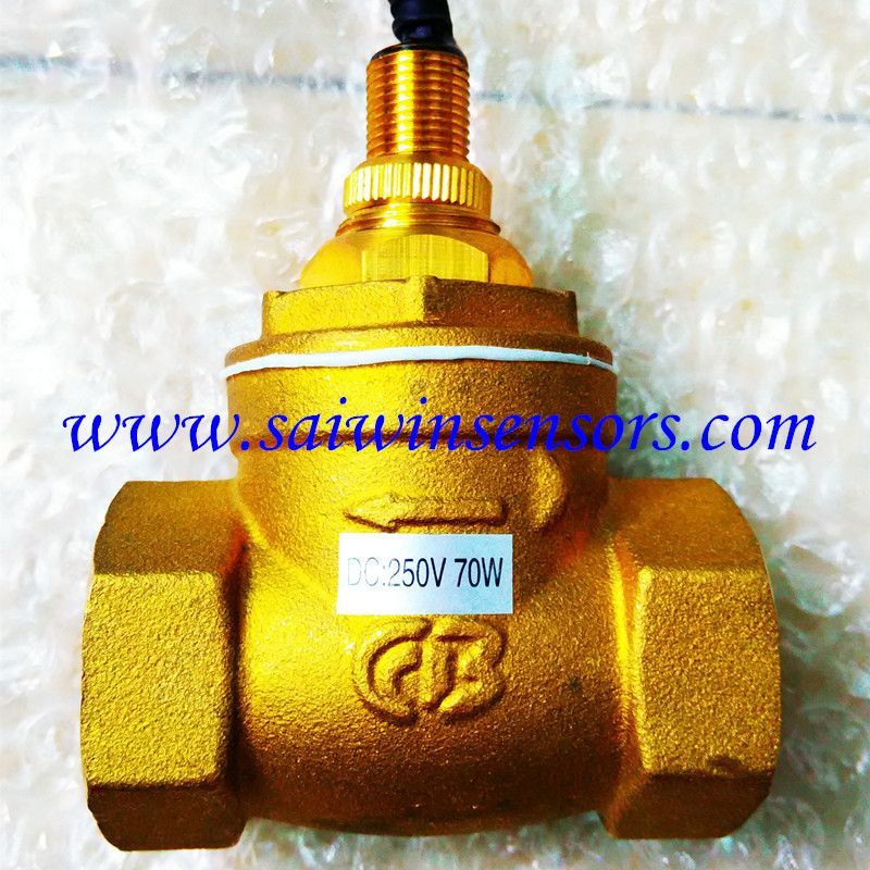 Flow Switch DN25