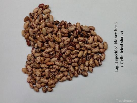 SELL light speckled kidney beans