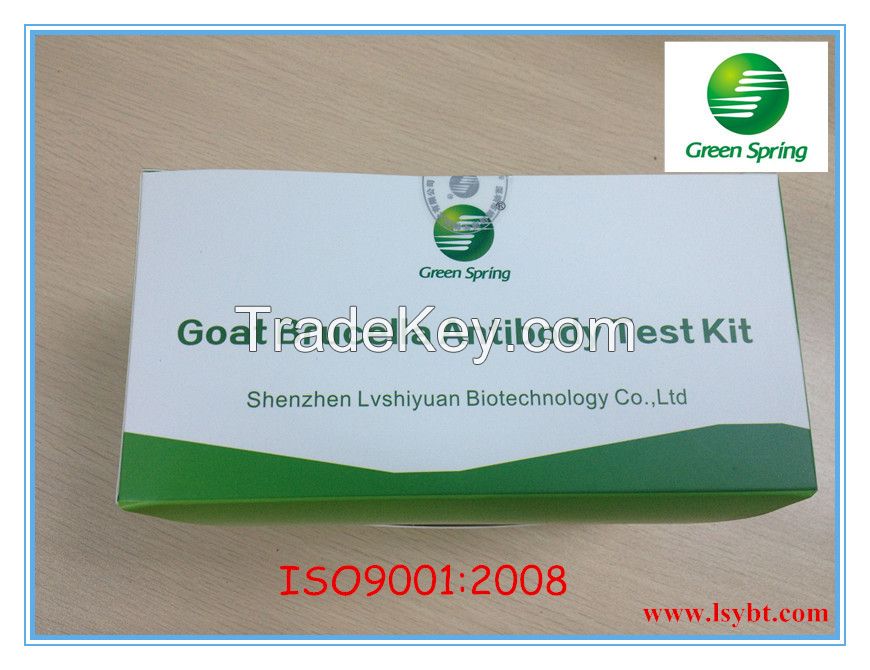 Bovine Brucella Antibody Rapid Test