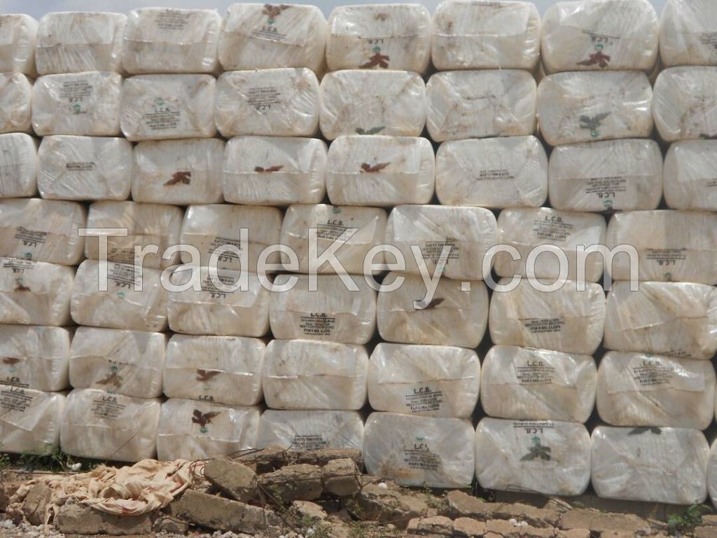 Sell Raw Cotton Fiber