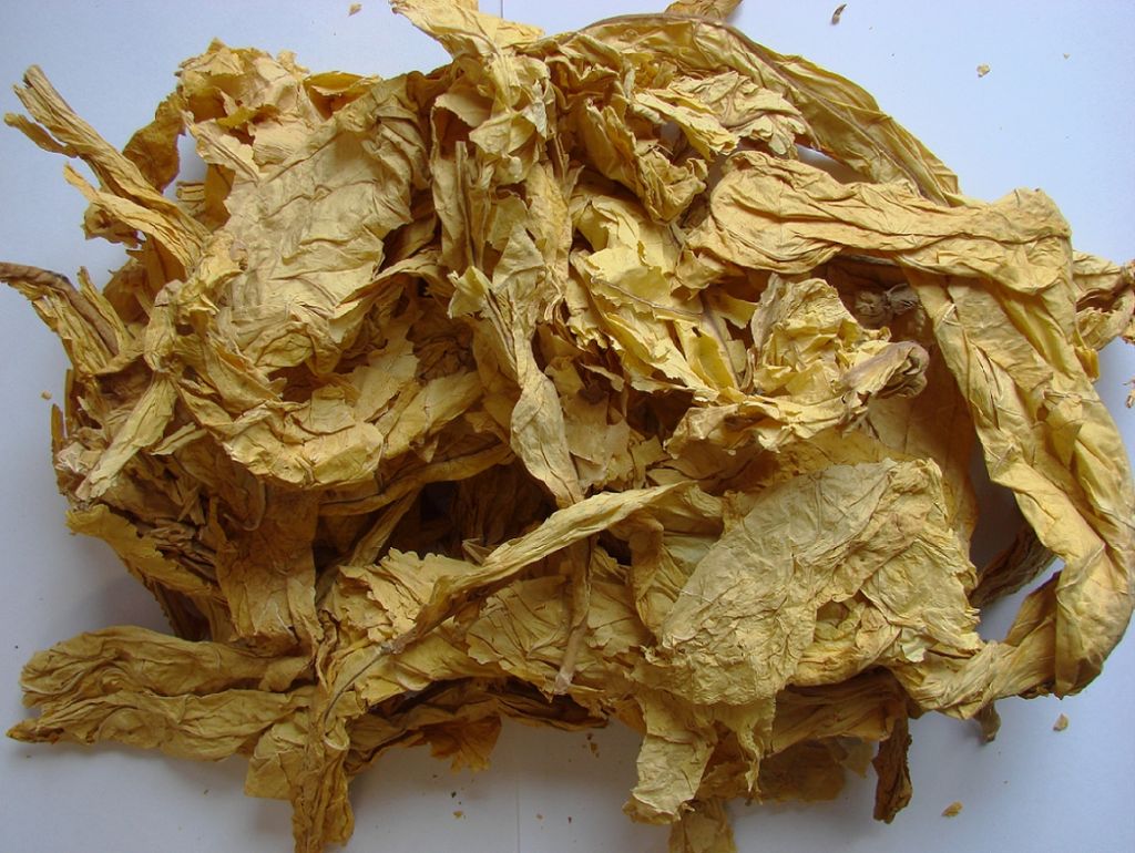 various kinds of tobacco leaves