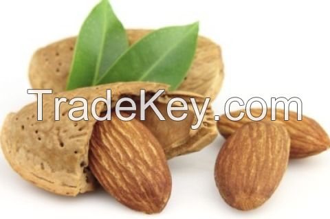 Almond