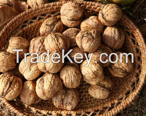 Walnuts