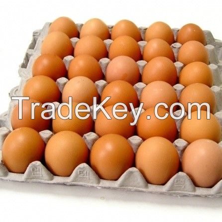 Fresh Chicken eggs of Small, Medium, Large size