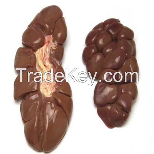 HALAL Frozen Beef Kidneys