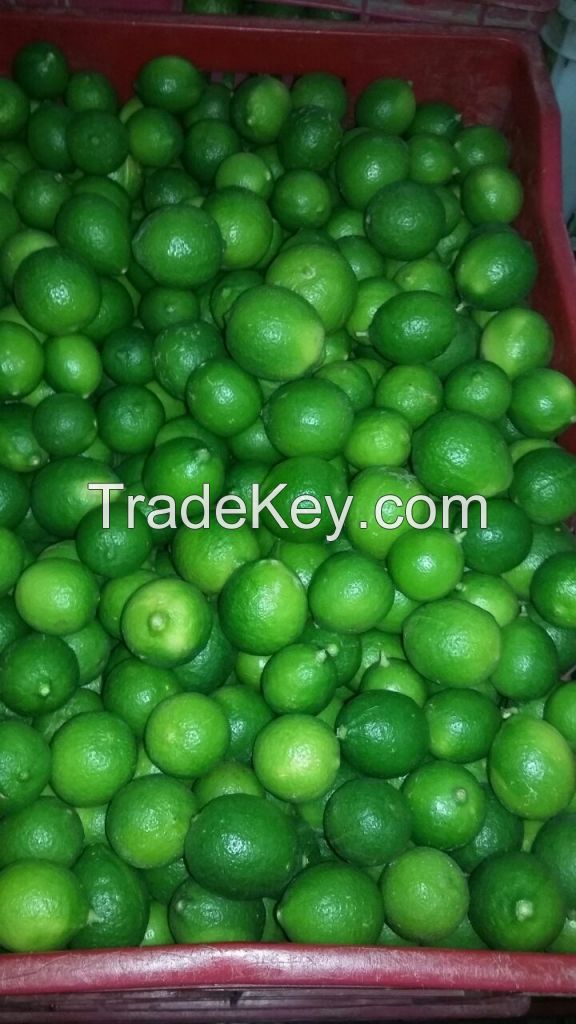 dry lime and fresh lemon for export