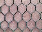 Hexagonal wire mesh