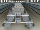 sell   battery cages