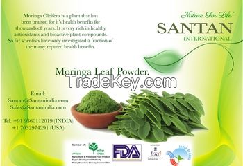 Solvent Extract Moringa leaf Powder