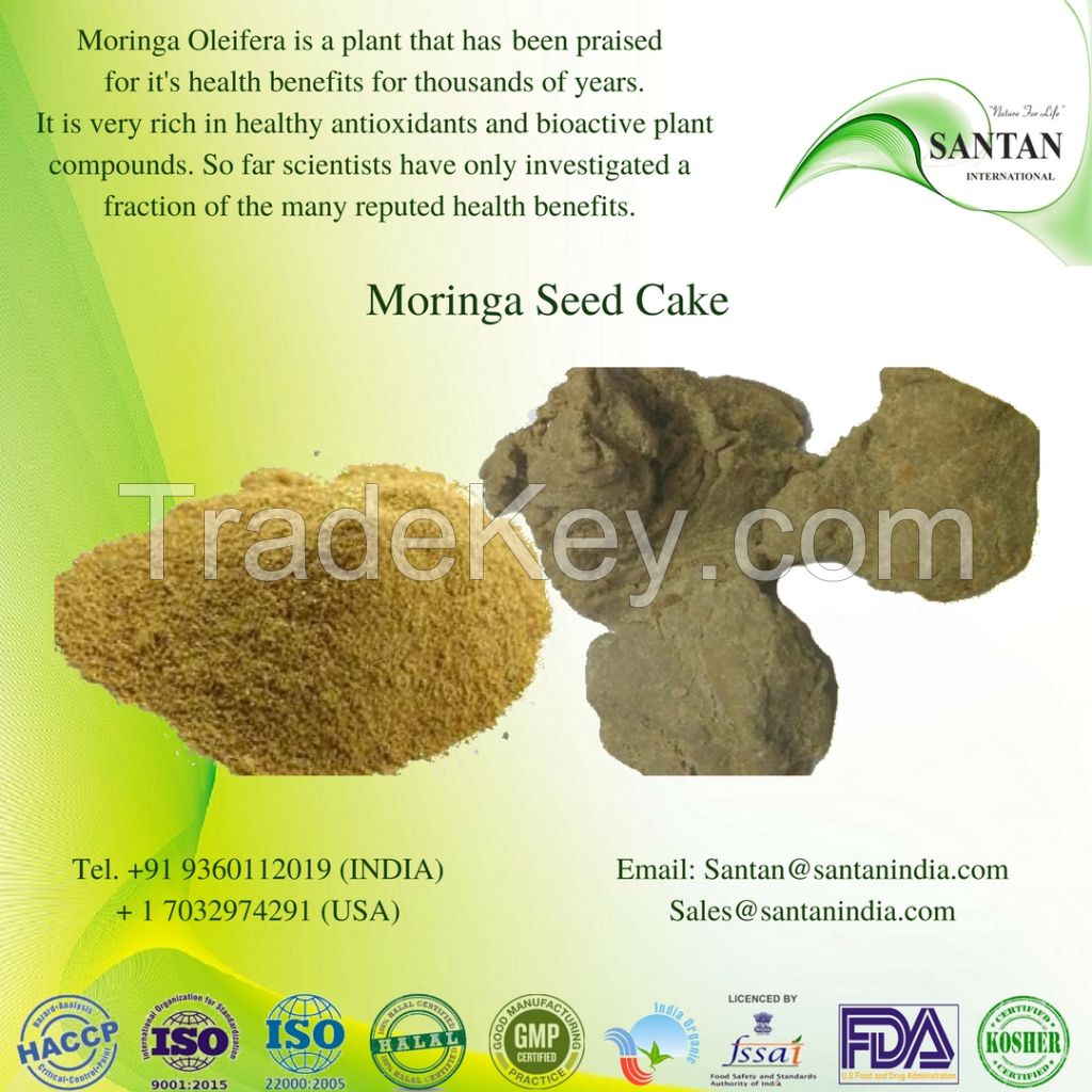 Hot Sale & High Quality Moringa Seed Cake