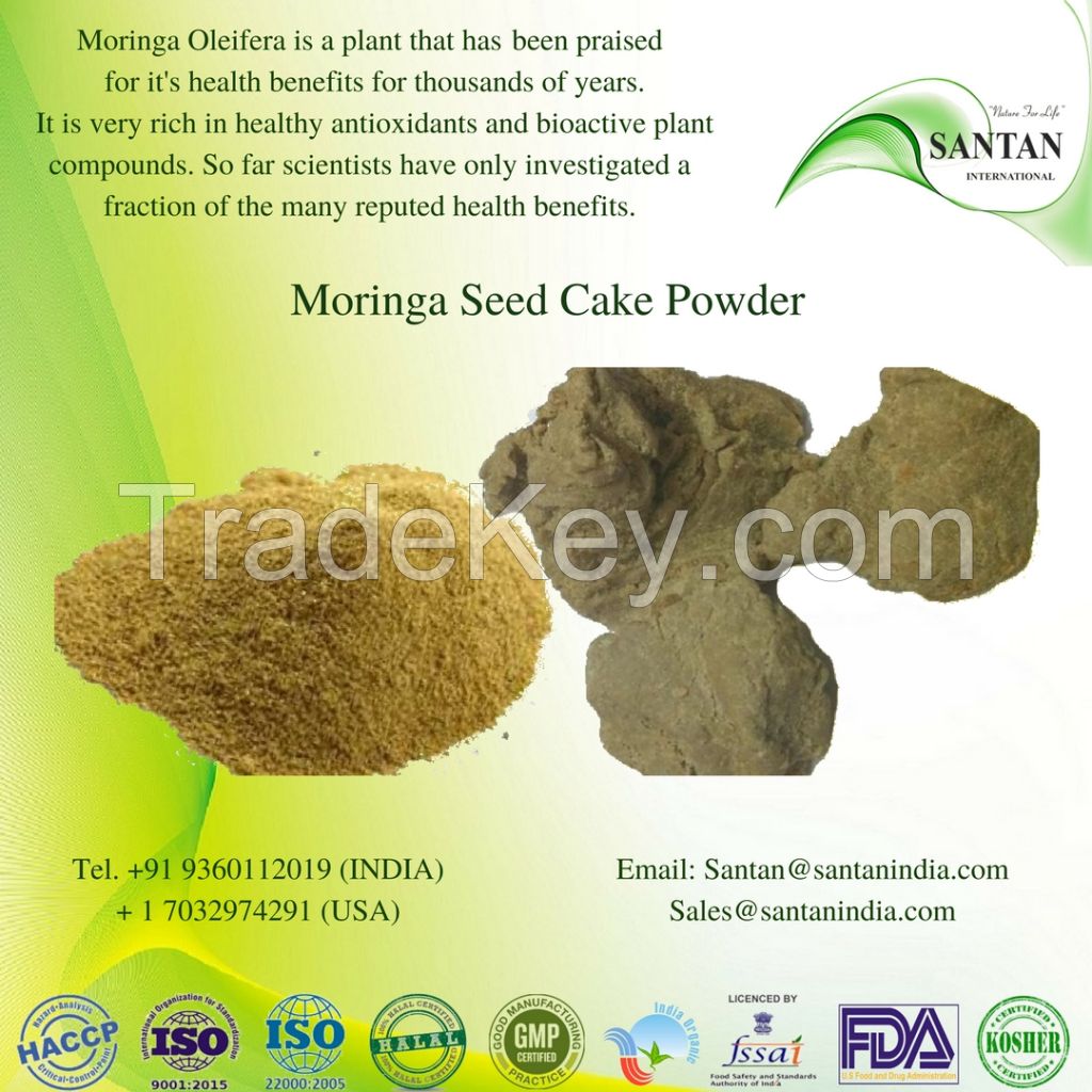 Indian Moringa Oleifera Seed Cake Powder