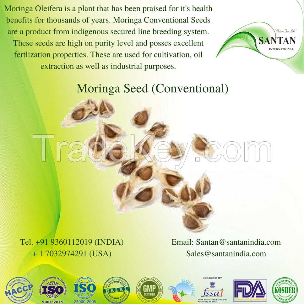 Moringa Oleifera Seeds For Germination