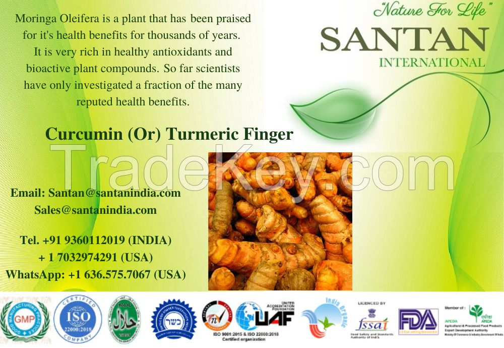 Turmeric Fingers supplier