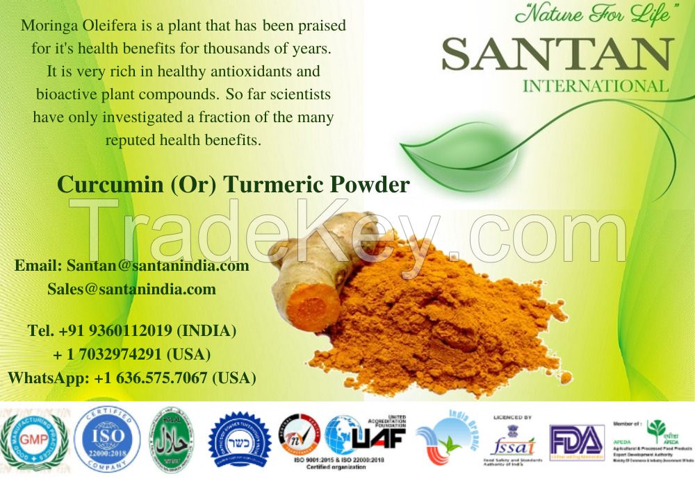 Curcumin Powder