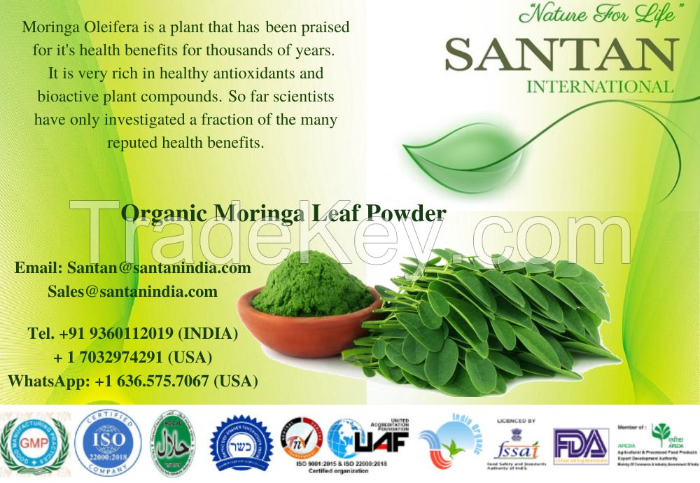 Whole Food Supplements Organic Moringa Leaf Powder Manufacturer
