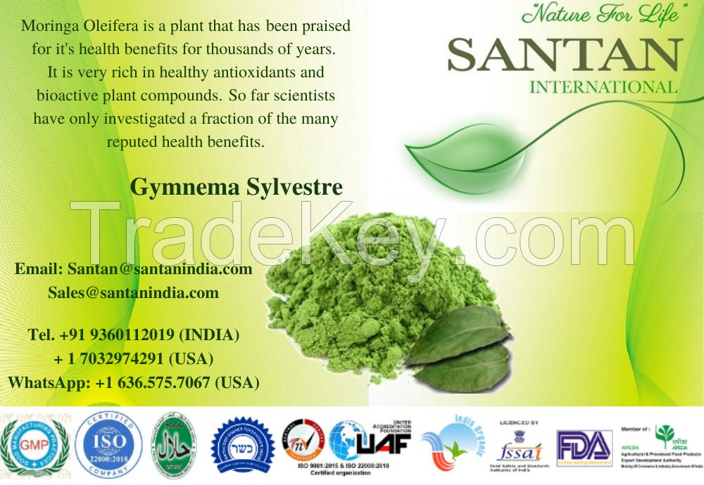 Exporter of Gymnema Sylvestre