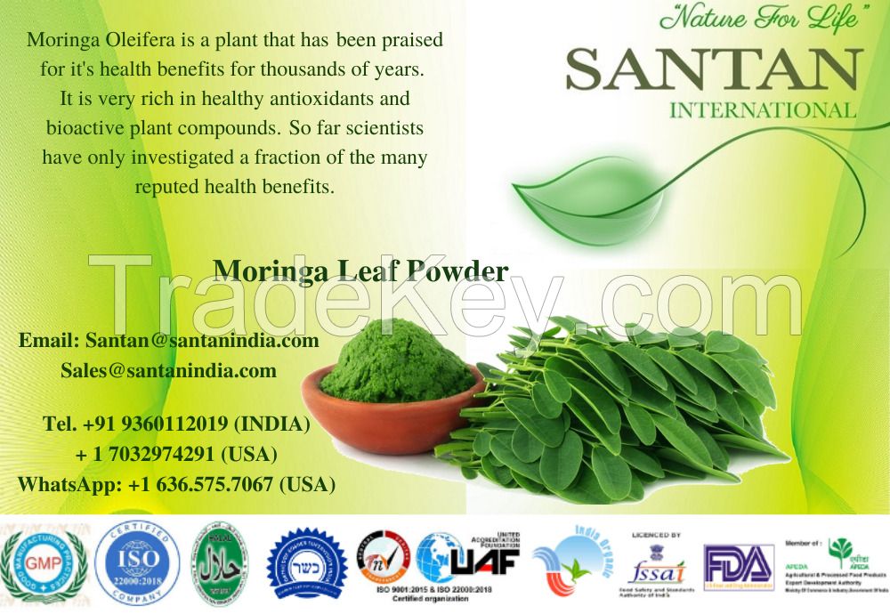 Plant extract moringa leaf extract Moringa Extract powder