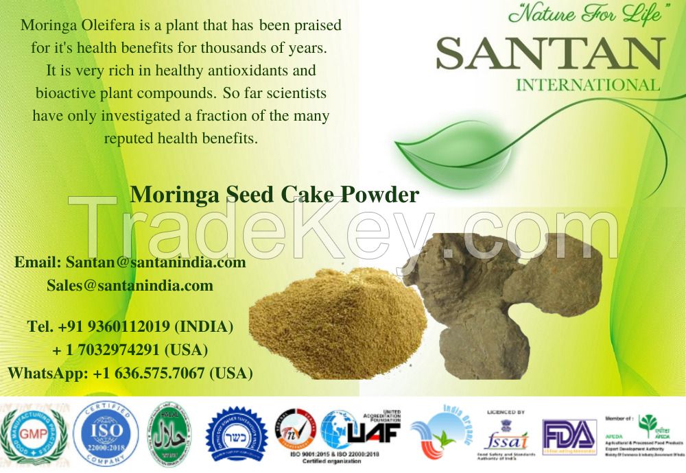 Dietery Health care supplement Moringa seed cake powder from india