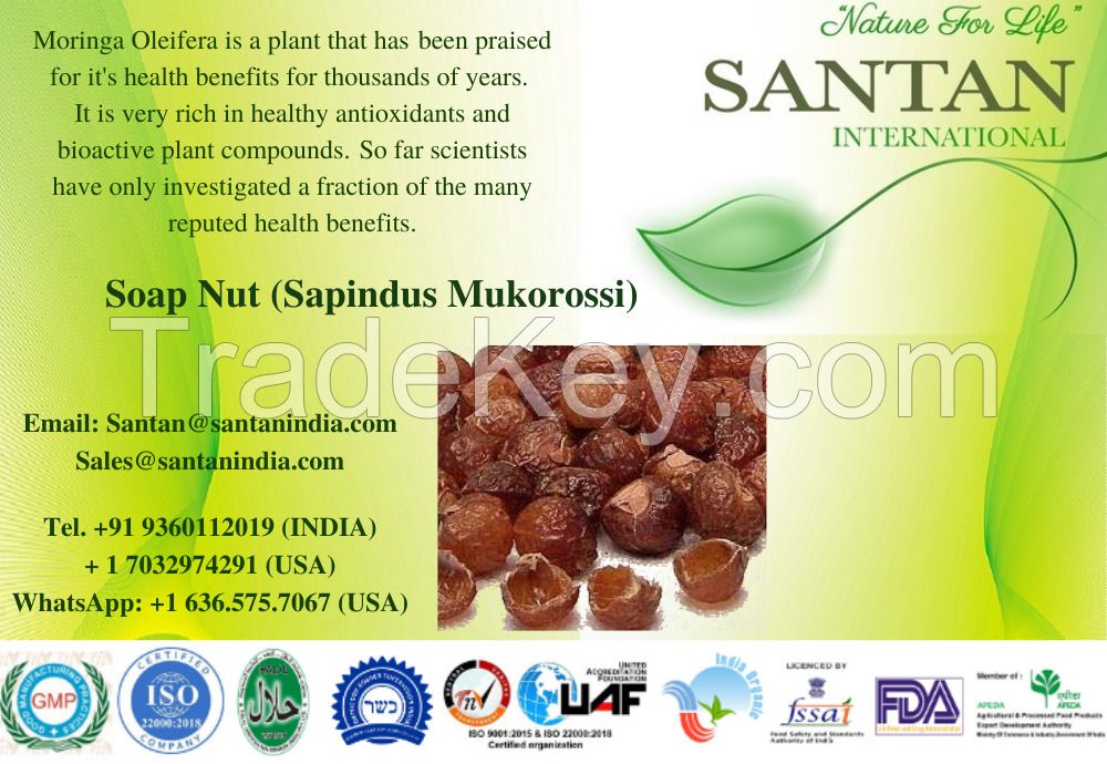 Fine Soap nuts exporter