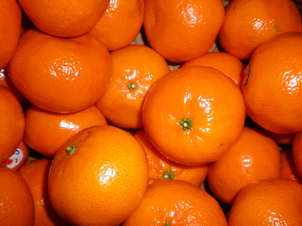 Sell Sweet Fresh Mandarin Orange Fruits