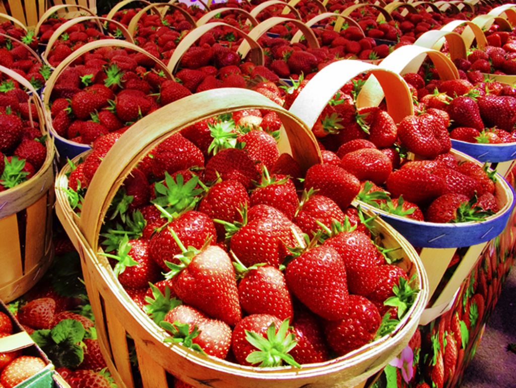 Sell Fresh Strawberry