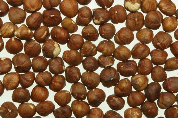 Macadamia Nuts From South Africa