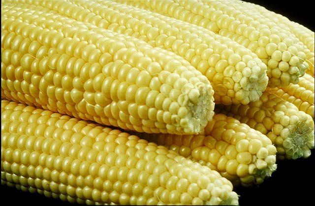 Sell Frozen Fresh White Maize Corn