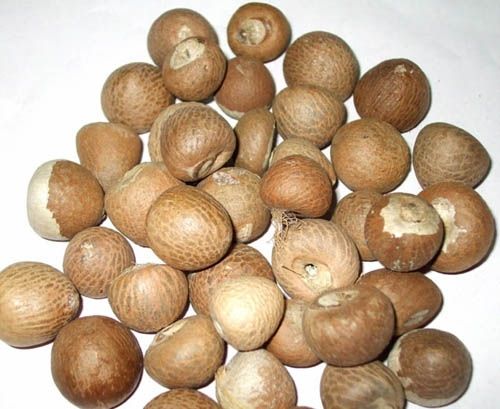 Whole and Split Betel Nut