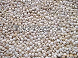 sorghum for sale