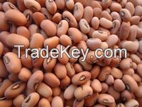 cowpeas for sale