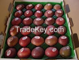 fresh passion fruits for sale