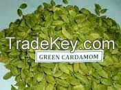 green CARDAMOM  for sale