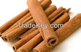 Cinnamon for sale