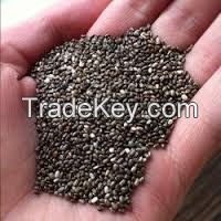 Sell chai seeds