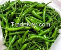 Fresh Green Chillies for sale