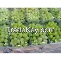 fresh grape fruits for sale