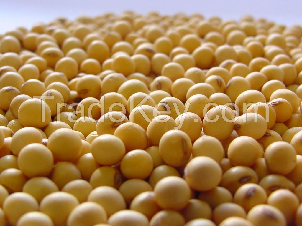 Soft Offer - Soybean # 2 GMO