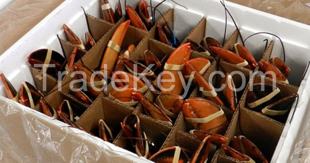 WE ARE SELLING LIVE LOBSTERS AND CRABS CONTACT US