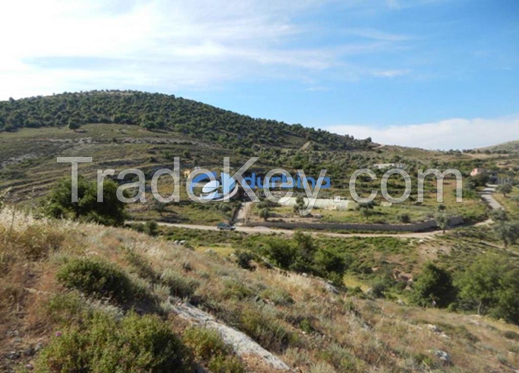 Farm for sale in Ein Bustan / Kufranja - Ajloun