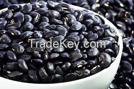 Black Kidney Beans, Red Kidney beans Sugar Beans and Vigna Beans