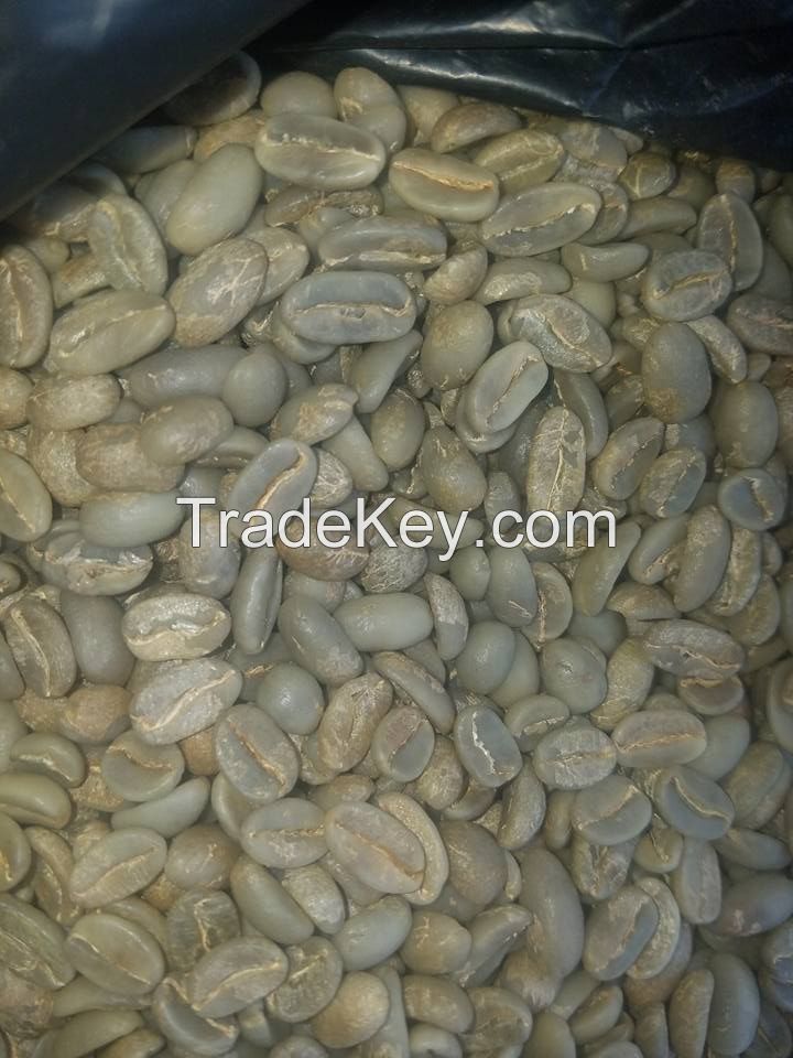 Coffee Beans, Coffee  Powder, Organic Coffee  Beans And Powder